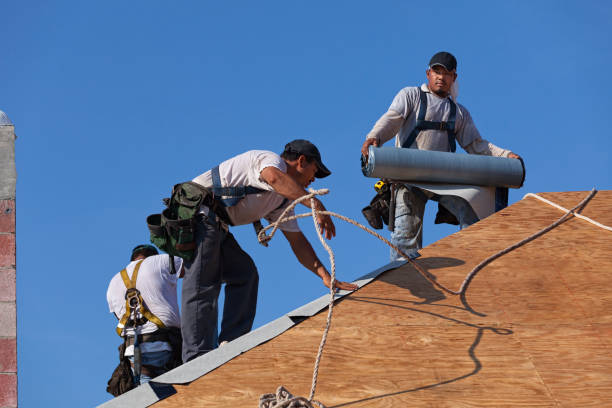 Best Storm Damage Roof Repair  in Wakeeney, KS